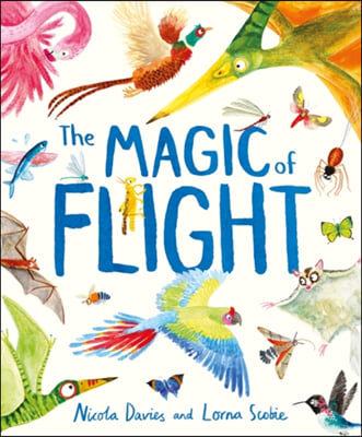 The Magic of Flight