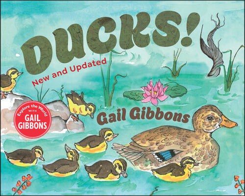 Ducks! (New &amp; Updated)