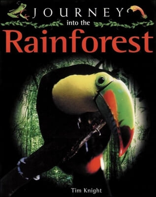 Journey into the Rainforest