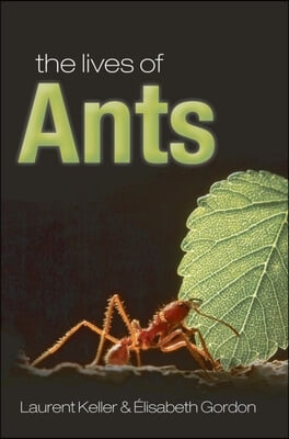 The Lives of Ants