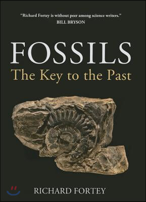 Fossils: The Key to the Past