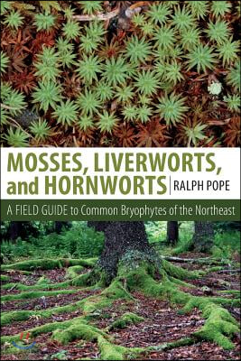 Mosses, Liverworts, and Hornworts: A Field Guide to the Common Bryophytes of the Northeast