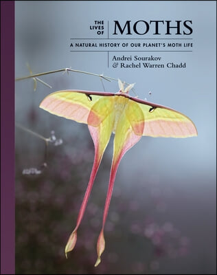 The Lives of Moths: A Natural History of Our Planet&#39;s Moth Life