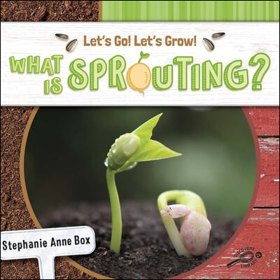 What Is Sprouting?