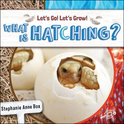 What Is Hatching?