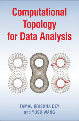 Computational Topology for Data Analysis