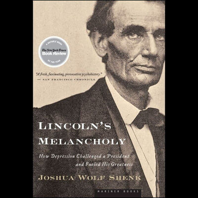 Lincoln&#39;s Melancholy: How Depression Challenged a President and Fueled His Greatness