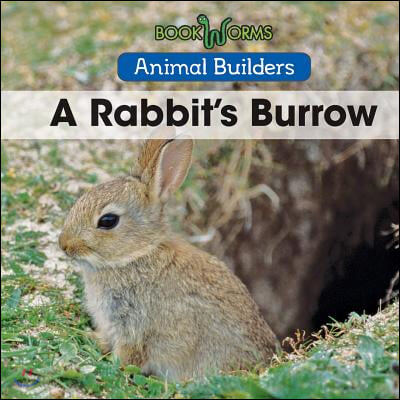 A Rabbit&#39;s Burrow