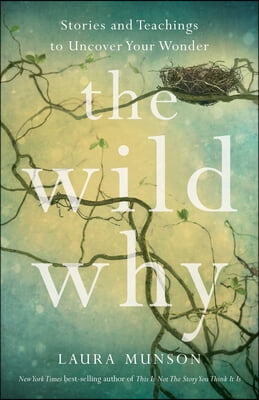 The Wild Why: Returning to Your Wonder