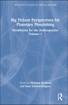 Big Picture Perspectives on Planetary Flourishing