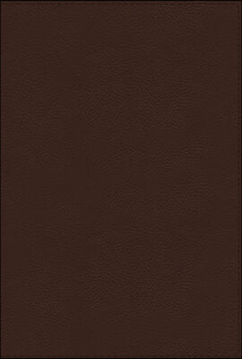 Nrsvue, Holy Bible with Apocrypha, Leathersoft, Brown, Comfort Print