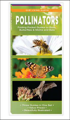 Pollinators: Folding Pocket Guides to Bees, Butterflies &amp; Moths and Bats