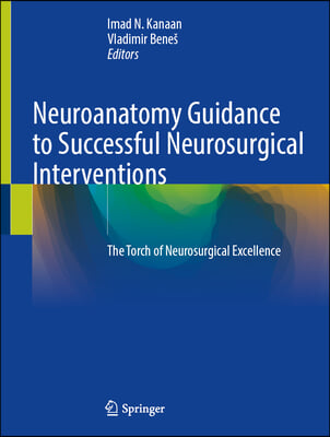 Neuroanatomy Guidance to Successful Neurosurgical Interventions: The Torch of Neurosurgical Excellence