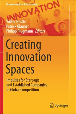 Creating Innovation Spaces: Impulses for Start-Ups and Established Companies in Global Competition