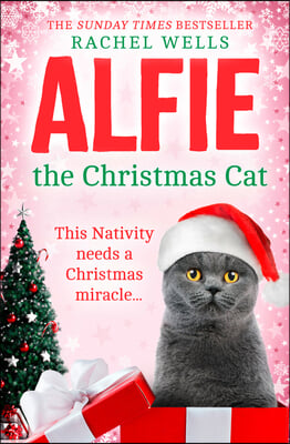 Alfie the Christmas Cat