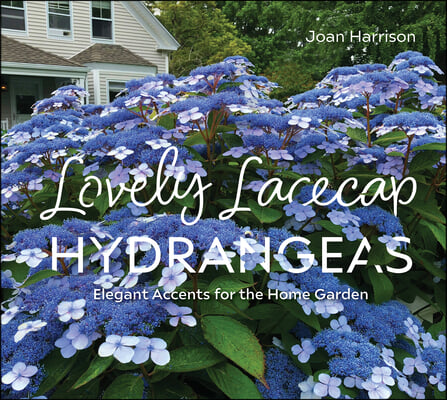 Lovely Lacecap Hydrangeas: Elegant Accents for the Home Garden