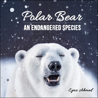 Polar Bear: An Endangered Species