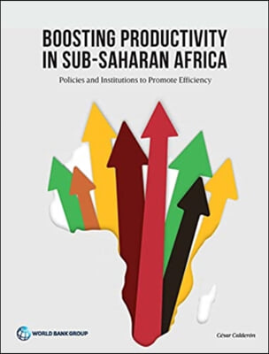 Boosting Productivity in Sub-Saharan Africa: Policies and Institutions to Promote Efficiency