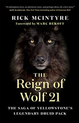 The Reign of Wolf 21: The Saga of Yellowstone&#39;s Legendary Druid Pack