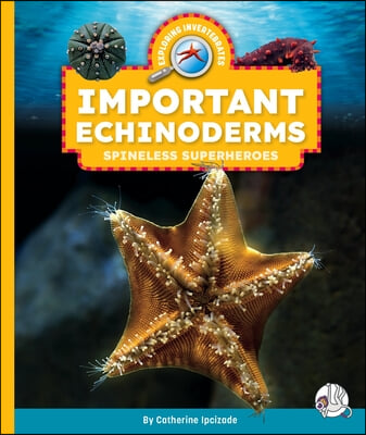 Important Echinoderms: Spineless Superheroes