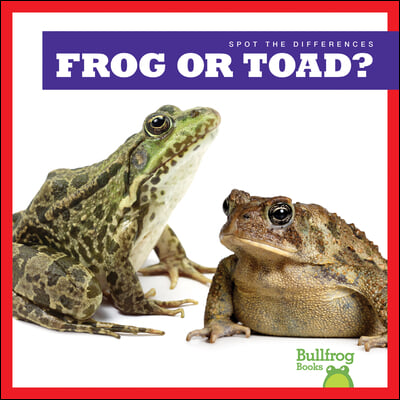 Frog or Toad?