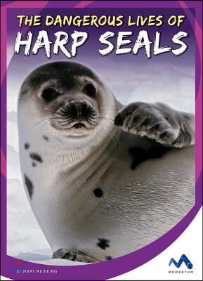 The Dangerous Lives of Harp Seals