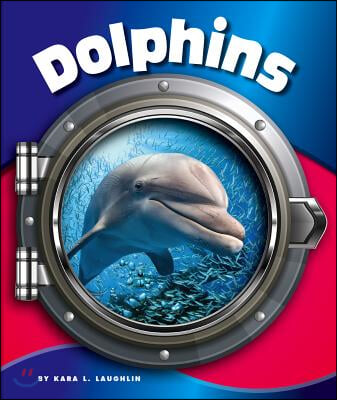 Dolphins