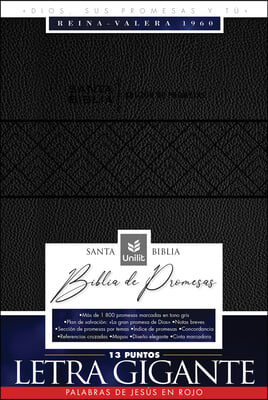 Santa Biblia de Promesas Reina-Valera 1960 / Letra Gigante - 13 Puntos / Piel Especial Con Indice / Negra // Spanish Promise Bible Rvr60 / Giant Print