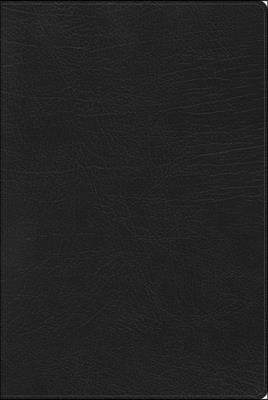 Rvr 1960 Biblia de Estudio Arcoiris, Negro Simil Piel