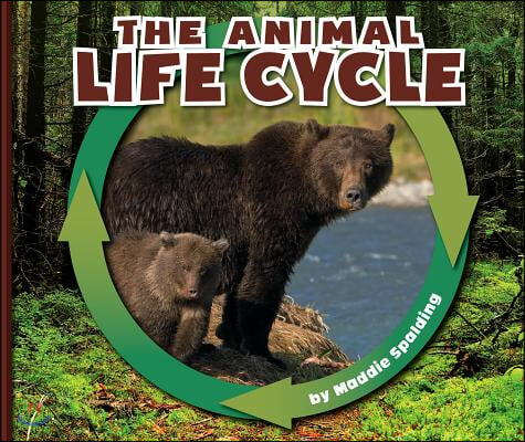 The Animal Life Cycle