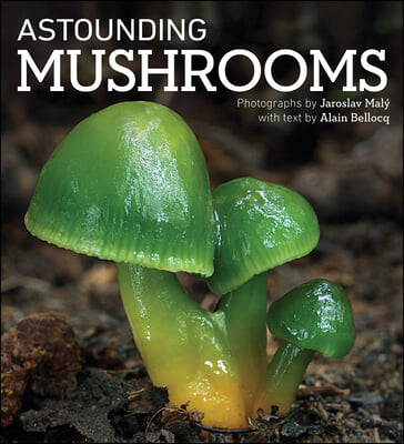 Astounding Mushrooms