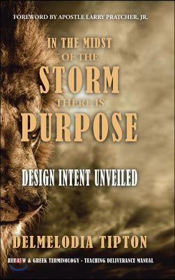 In the Midst of the Storm There Is Purpose: Design Intent Unveiled