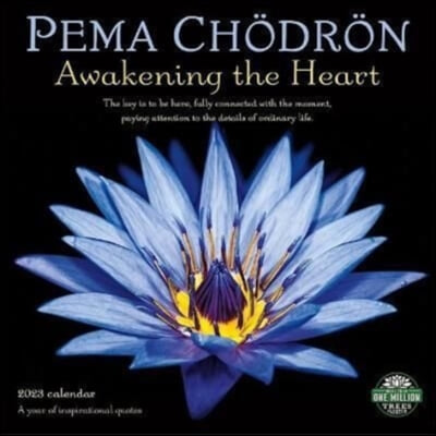 PEMA CHODRON 2023 WALL CALENDAR