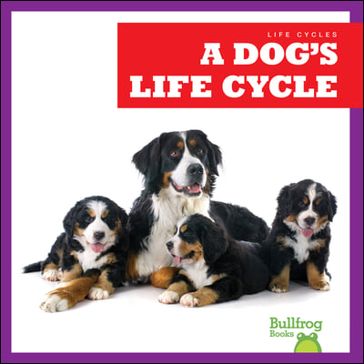 A Dog&#39;s Life Cycle