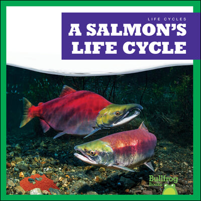 A Salmon&#39;s Life Cycle