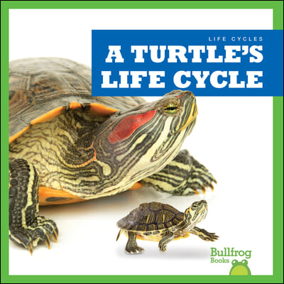 A Turtle's Life Cycle