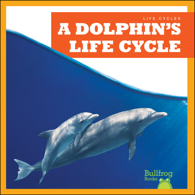 A Dolphin&#39;s Life Cycle