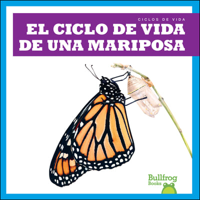 El Ciclo de Vida de Una Mariposa (a Butterfly&#39;s Life Cycle)