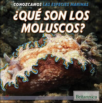 &#191;Que Son Los Moluscos? (What Are Mollusks?)