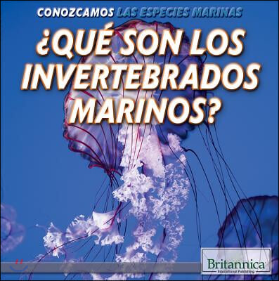 &#191;Que Son Los Invertebrados Marinos? (What Are Sea Invertebrates?)