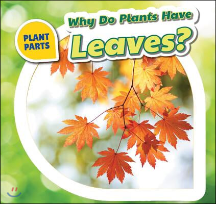 Why Do Plants Have Leaves?