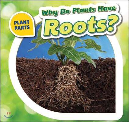 Why Do Plants Have Roots?