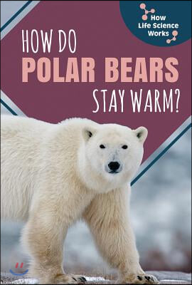 How Do Polar Bears Stay Warm?