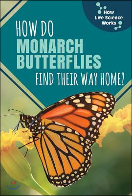 How Do Monarch Butterflies Find Their Way Home?