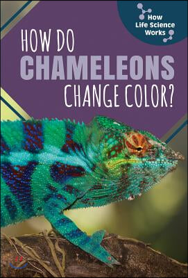 How Do Chameleons Change Color?