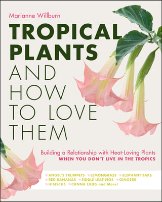 Tropical Plants and How to Love Them: Building a Relationship with Heat-Loving Plants When You Don't Live in the Tropics - Angel's Trumpets - Lemongra