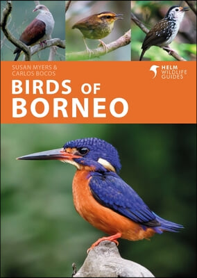 Birds of Borneo