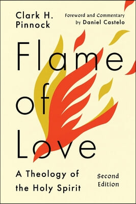 Flame of Love: Three Views on the Destiny of the Unevangelized