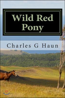 Wild Red Pony: For Young Readers