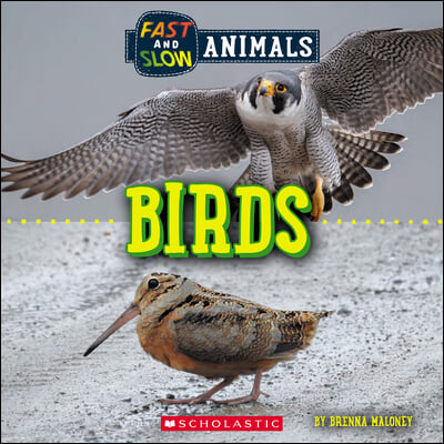 Birds (Wild World: Fast and Slow Animals)